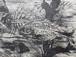 Hans van Dokkum - Vissen. Onderwater landschap. kopen? Bied vanaf 69!