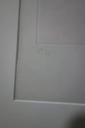 Salvador Dali - Espejo Vivo kopen? Bied vanaf 1650!