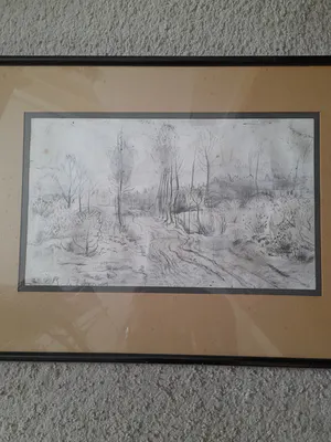 Rene De Lannoy - Bos landschap kopen? Bied vanaf 75!