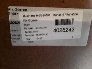 Rik Gorree - Shark kopen? Bied vanaf 40!