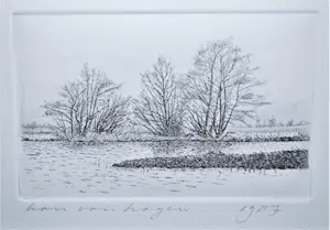 Han van Hagen - 2 etsen: jong eendje & landschap kopen? Bied vanaf 30!