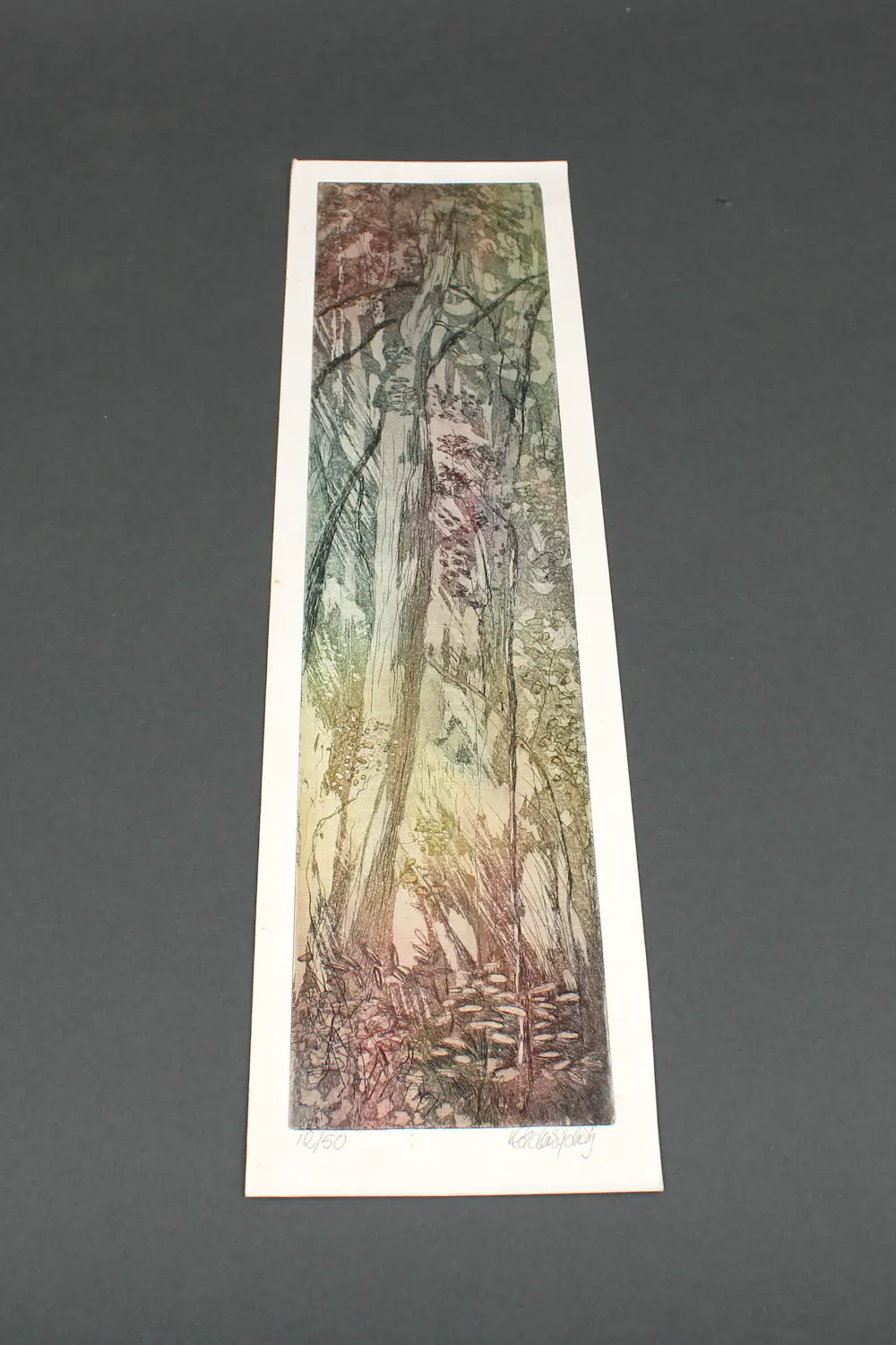 Hadewijch Ouwendijk (1957)