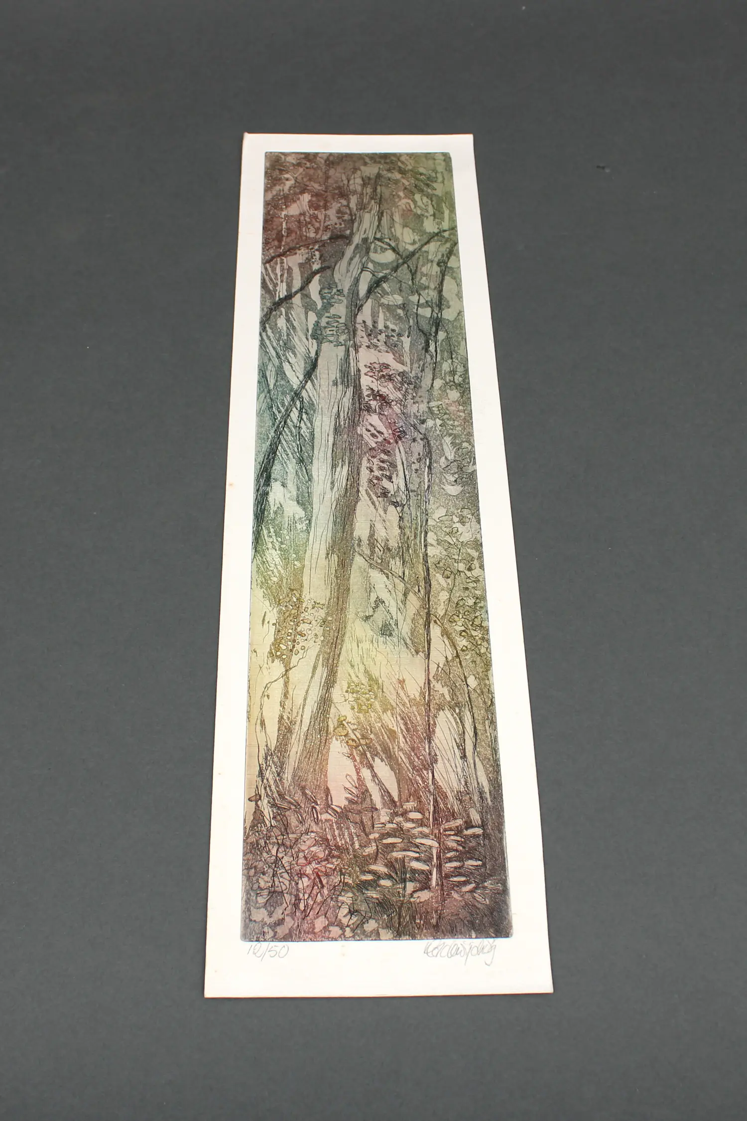 Hadewijch Ouwendijk (1957)