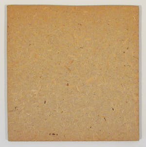 Jan Rombout - 3 paarden kopen? Bied vanaf 20!