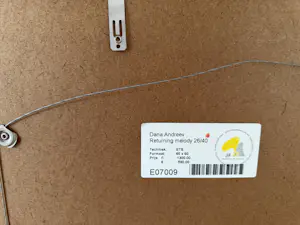 Dana Andreev - RETURNING MELODY kopen? Bied vanaf 80!