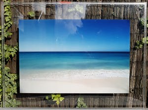 Paul Huf - Aruba, C-print (ingelijst, groot) kopen? Bied vanaf 150!