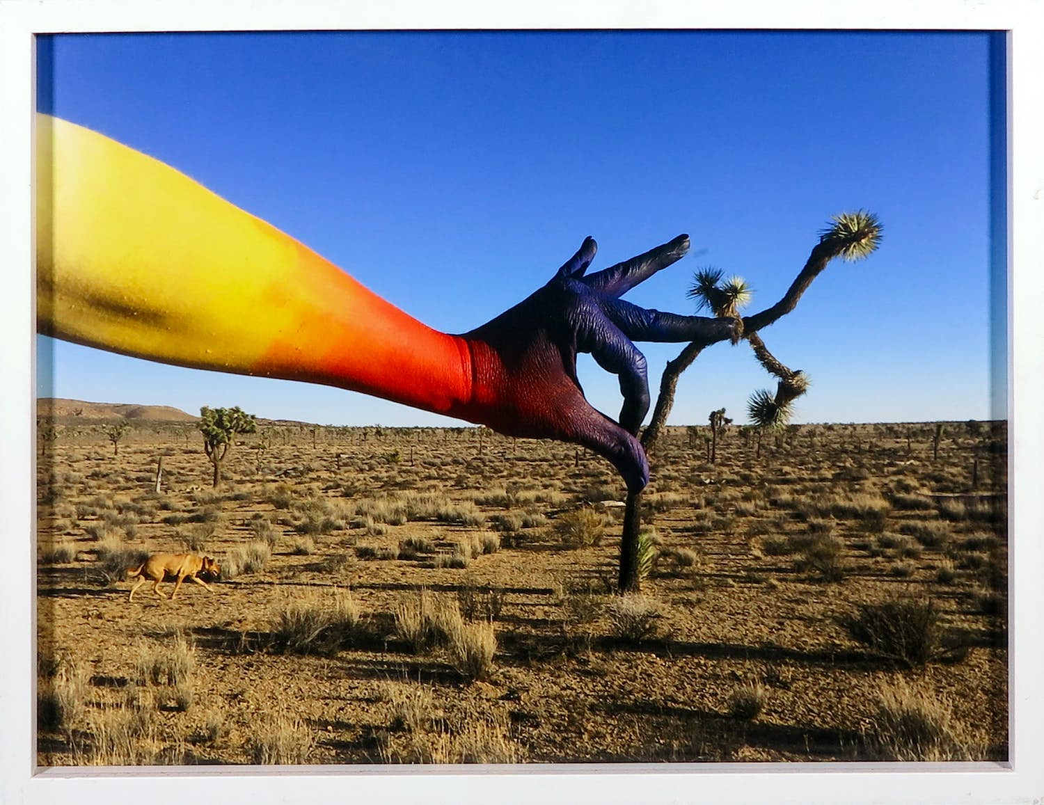 Benny Merris - C-print, An Other Another 97 - Ingelijst kopen? Bied vanaf 1!