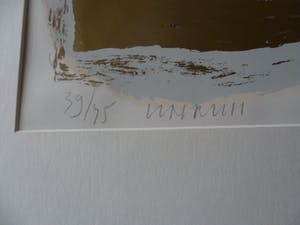 Bert Vredegoor - Zeefdruk. Titel. "Unicum". kopen? Bied vanaf 25!