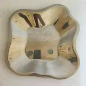 AcheterIittala - Alvar Aalto collection RVS-schaal? Enchérissez de 60!