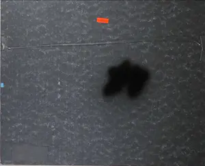 Wouter Hisschemoller - Litho, Bijen - Ingelijst kopen? Bied vanaf 50!