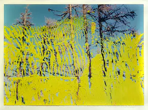 AcheterGerhard Richter - '26. 5.92' - Farboffset, drucksigniert? Enchérissez de 69!