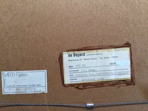 Sjaak Mous - Mysterie van de bevruchting | unieke potloodtekening (1974) - ingelijst kopen? Bied vanaf 17!