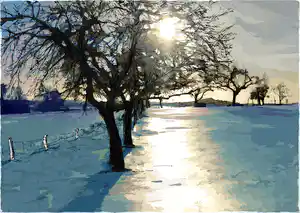 Hartmut Henschel - Apfelbäume im Februar verkocht voor € 60!