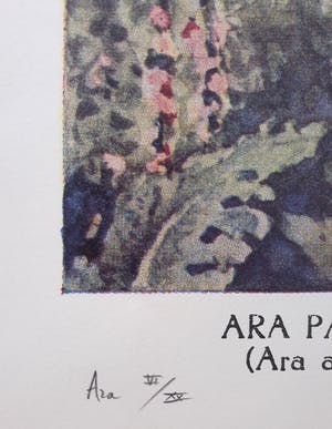 Rob Scholte - Ara, offset/zeefdruk kopen? Bied vanaf 110!