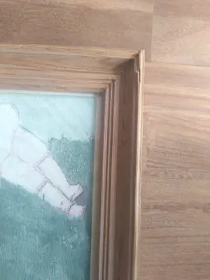 Marijke Raaijmakers - Polline in het gras - ze lag in haar tuintje en sliep, toen... kopen? Bied vanaf 20!