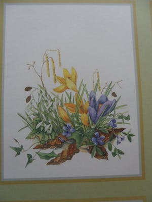 Janneke Brinkman-Salentijn - Litho, Bloemen. kopen? Bied vanaf 10!