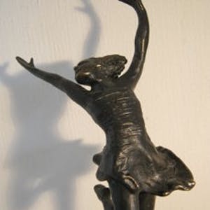 Corry Ammerlaan - Sprong naar de vrijheid kopen? Bied vanaf 75!