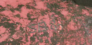 Benjamin Vautier - Sol LeWitt, René Daniels, Klaas Gubbels en anderen - Pandora Part Two kopen? Bied vanaf 2000!