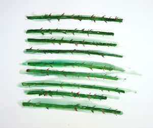 John van 't Slot - Gouache, Doorntakken verkocht voor € 50!