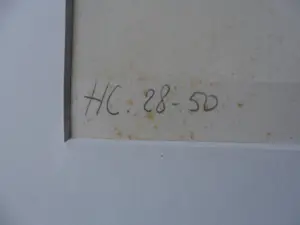 Nic Jonk - Vrouw , uit 15-03-1984 kopen? Bied vanaf 30!