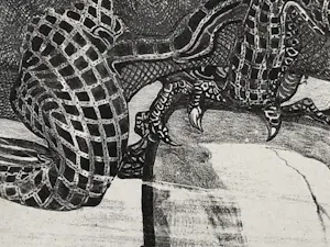 Theo van Hoytema - Leguaan, zittend op een steen in het water kopen? Bied vanaf 40!