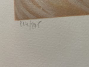 Jean-Paul Cleren - La Blonde Surréaliste kopen? Bied vanaf 10!