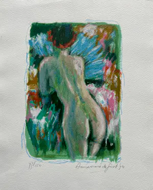 Annemarie de Groot - Cassette 4 verschillende zeefdrukken - Naakt in de tuin kopen? Bied vanaf 50!