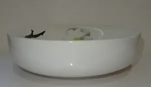 Marcel Wanders - schaal Passion kopen? Bied vanaf 30!