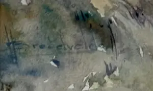 Hendrik Breedveld - Canna's kopen? Bied vanaf 50!