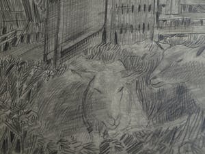 Hubert Bekman - Ingelijste tekening, Schapen - ingelijst – 1945 kopen? Bied vanaf 25!