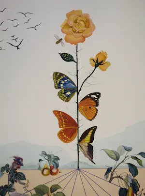 Salvador Dali - Flordali, De vlinderroos, originele litho kopen? Bied vanaf 200!