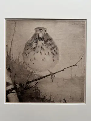Jan Mankes - Originele Heliogravure Lijster op Tak 1923 kopen? Bied vanaf 185!