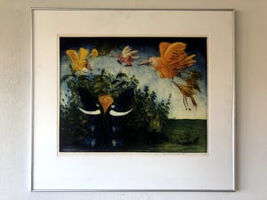 Joost Verkruisen - Kleurets kopen? Bied vanaf 35!