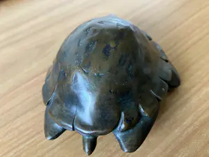 Hans Hermes - Zwaar bronzen beeld van een schildpad - gesigneerd - uit 2013. kopen? Bied vanaf 65!