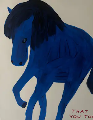 David Shrigley - Witness My Joy kopen? Bied vanaf 1900!