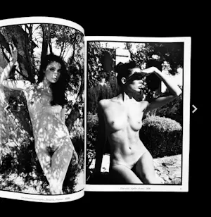 Michel Pinel - Michel Pinel „Eden“, Werkverzeichnis des Fotografen – 2009 kopen? Bied vanaf 60!