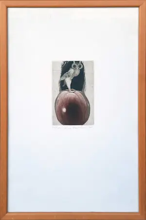 Eva Haskova - ets-aquatint - Het Uiltje - ingelijst - 25558 kopen? Bied vanaf 75!