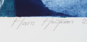 Hans Heijman - Kleurenets, Reis in de binnenwereld kopen? Bied vanaf 1!