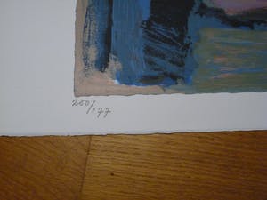 Wil van Leeuwen - De Lente kopen? Bied vanaf 40!