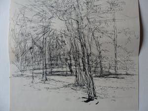 Tjeng Sit Oey - Pen of inkttekening van Bomen kopen? Bied vanaf 20!