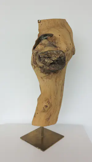 Frans Kokshoorn - Sculptuur van hout met metalen elementen kopen? Bied vanaf 150!