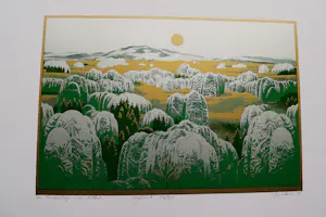 Jos Muris - Erg mooie kleuren - Zeefdruk "Een landschap voor Tolkien" beperkte oplage (75) kopen? Bied vanaf 40!