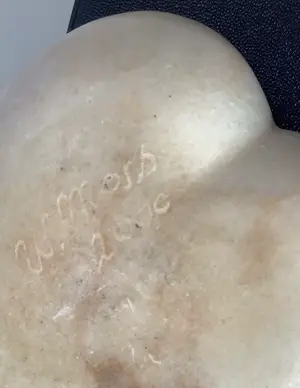 Wim Mors - Vitaliteit kopen? Bied vanaf 300!