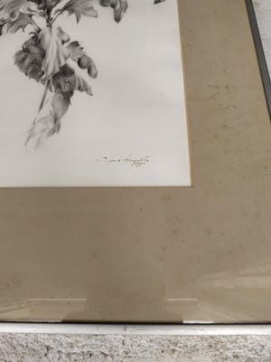 Niet of onleesbaar gesigneerd - Greet Aeijelts kopen? Bied vanaf 1!