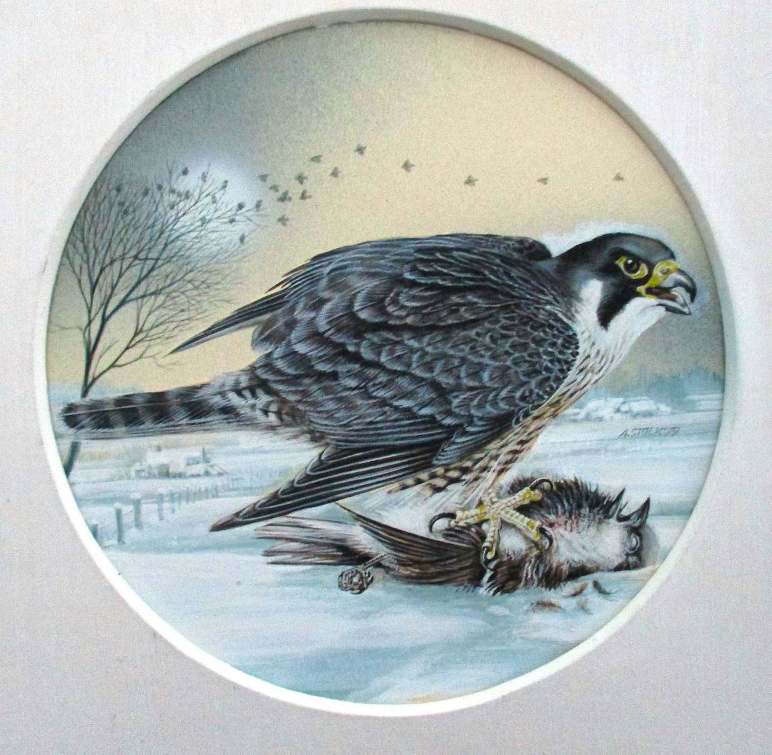 Buy Ari Stolk - Slechtvalk met prooi? Bid from 159!