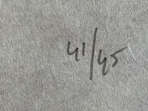 Ad Gerritsen - TWEE HOUTDRUKKEN MET DEZELFDE OPLAGENUMMERS kopen? Bied vanaf 90!