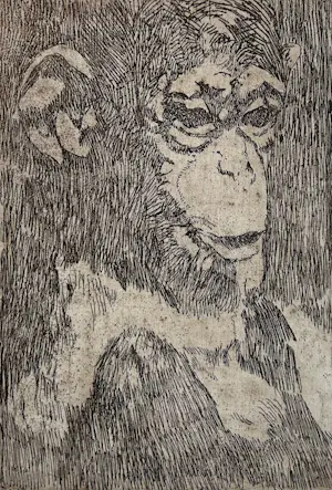 Theo Goedvriend - Aapjes Kijken - zes etsen kopen? Bied vanaf 100!