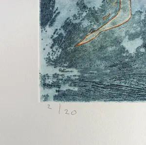 Jan Montyn - Le chute libre, aquatint ets (kleine oplage) kopen? Bied vanaf 115!