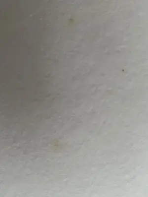 Ton van Kesteren - TWEE ZEEFDRUKKEN kopen? Bied vanaf 59!