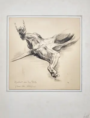 Herbert van der Poll - Leeuw, Artis (1915) kopen? Bied vanaf 40!